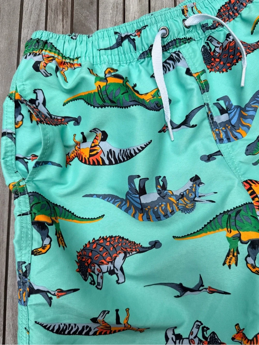 KIDS HANNA ANDERSSON Dinosaur Print Swim Trunks - Aqua - SIZE 10